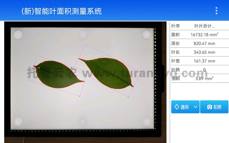 拍照式葉面積測量?jì)x軟件界面圖
