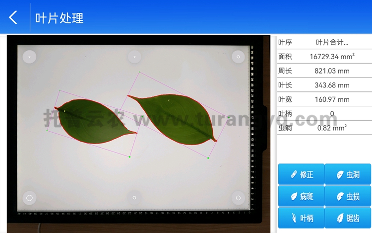 拍照式葉面積測量?jì)x軟件界面圖